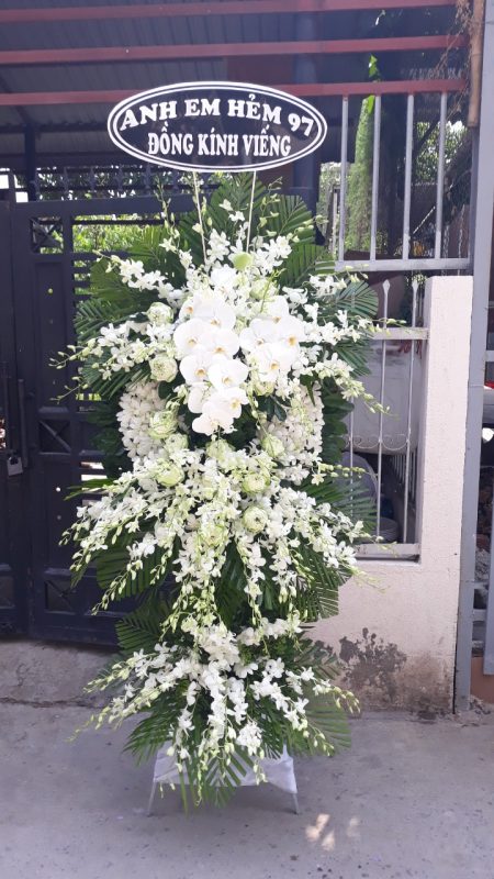 Hoàng Nguyên Flowers