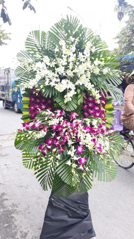 Hoàng Nguyên Flowers