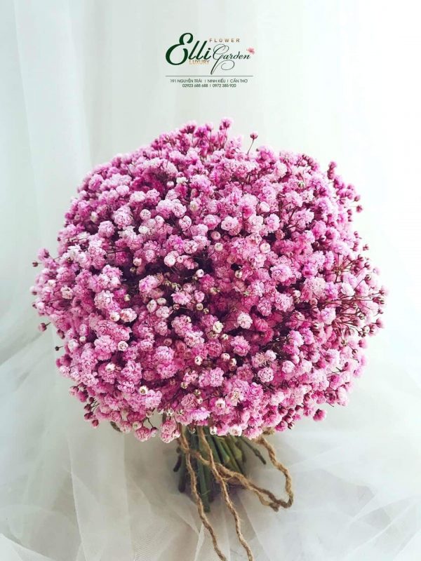 Hoàng Nguyên Flowers