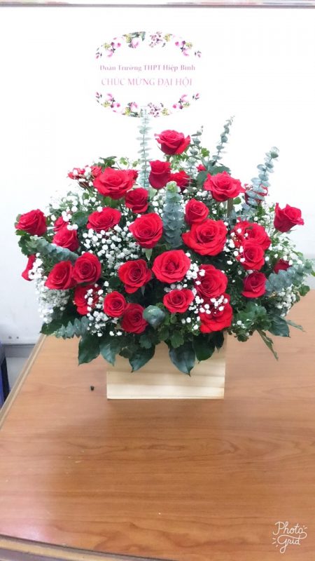 Hoàng Nguyên Flowers