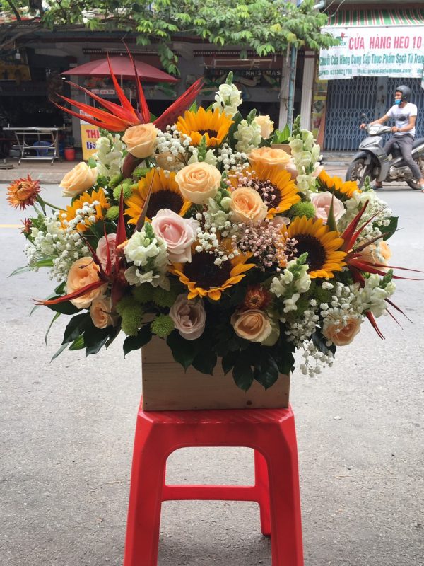 Hoàng Nguyên Flowers