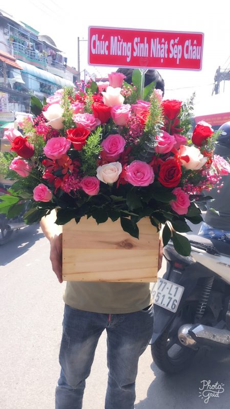 Hoàng Nguyên Flowers