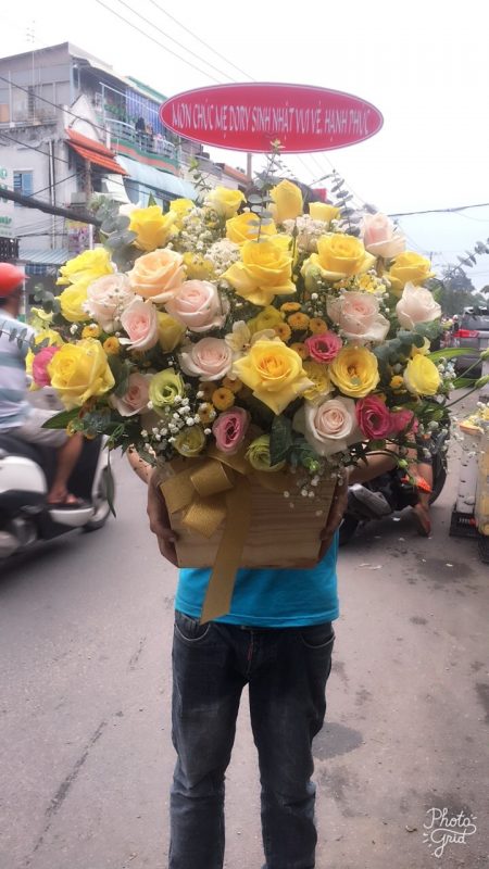 Hoàng Nguyên Flowers
