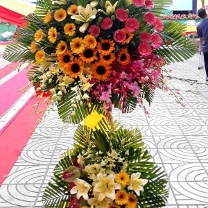 Hoa Khai Trương KT-49