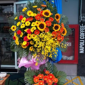 Hoa Khai Trương KT-51