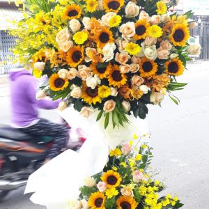 Hoa Khai Trương KT-53