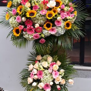 Hoa Khai Trương KT-54