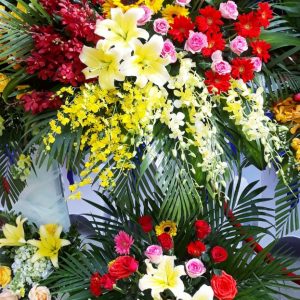 Hoa Khai Trương KT-55