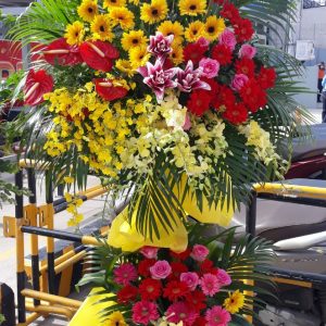 Hoa Khai Trương KT-56