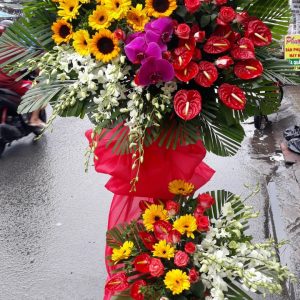 Hoa Khai Trương KT-57