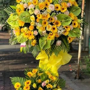 Hoa Khai Trương KT-59