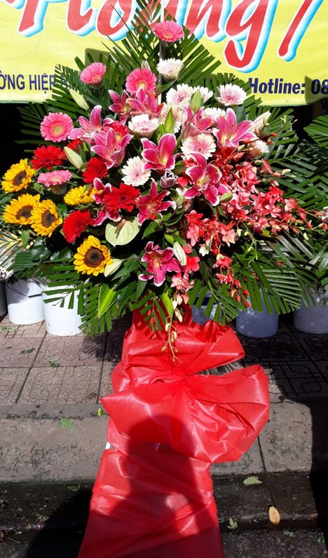Hoàng Nguyên Flowers